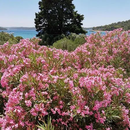 Vanja Apartment Mali Losinj