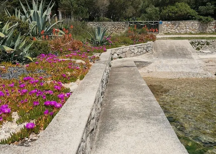 Vanja * מאלי לוסיניי