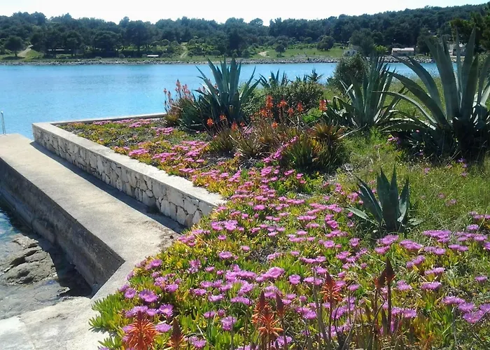 Vanja * מאלי לוסיניי