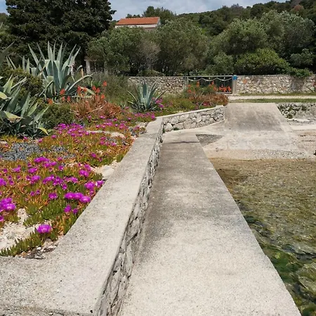 Vanja * Mali Losinj