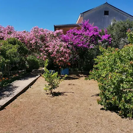 Vanja * Mali Losinj
